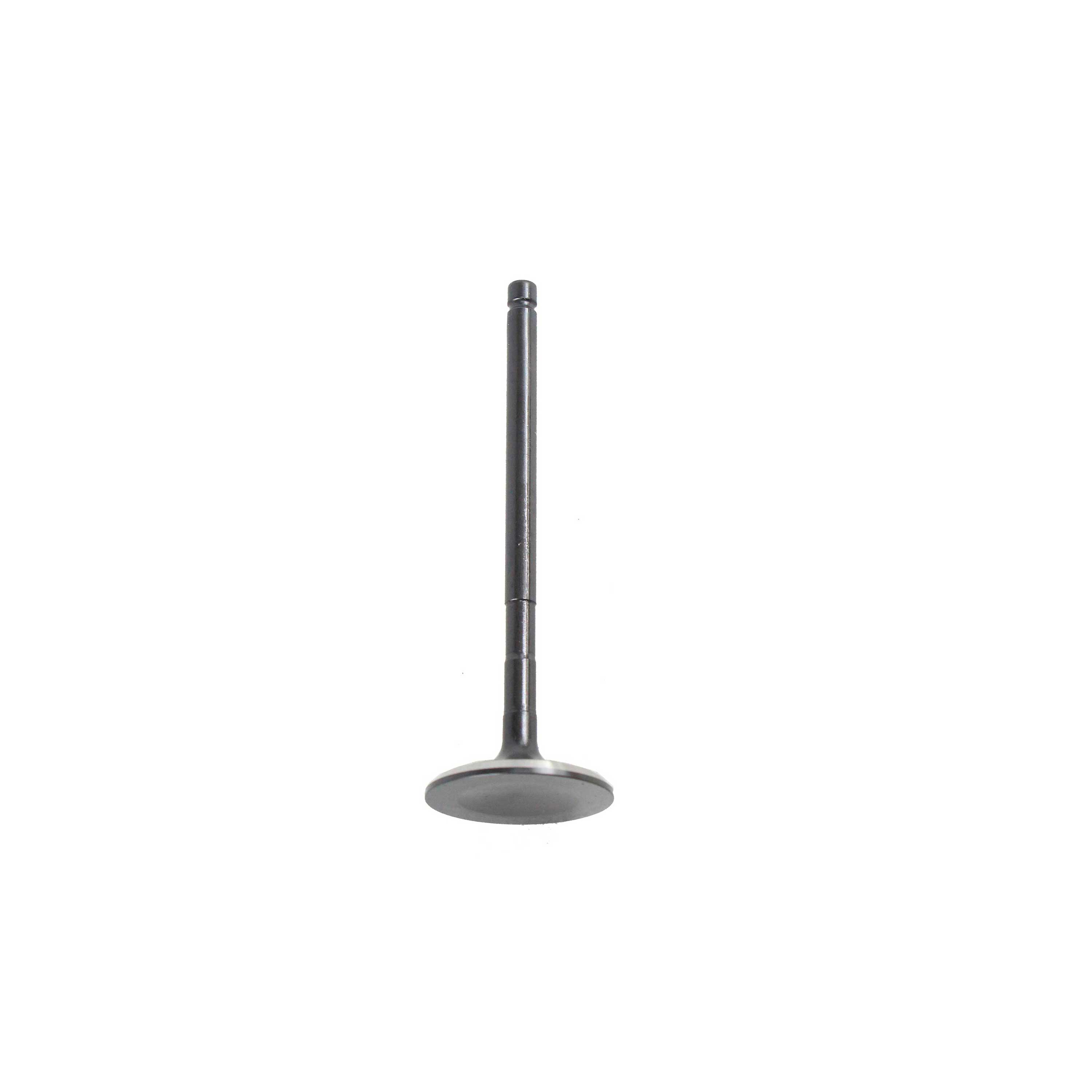 DNJ EV4299 Exhaust Valve fits 2011-2017 Ford F-150 11-14 Ford Mustang