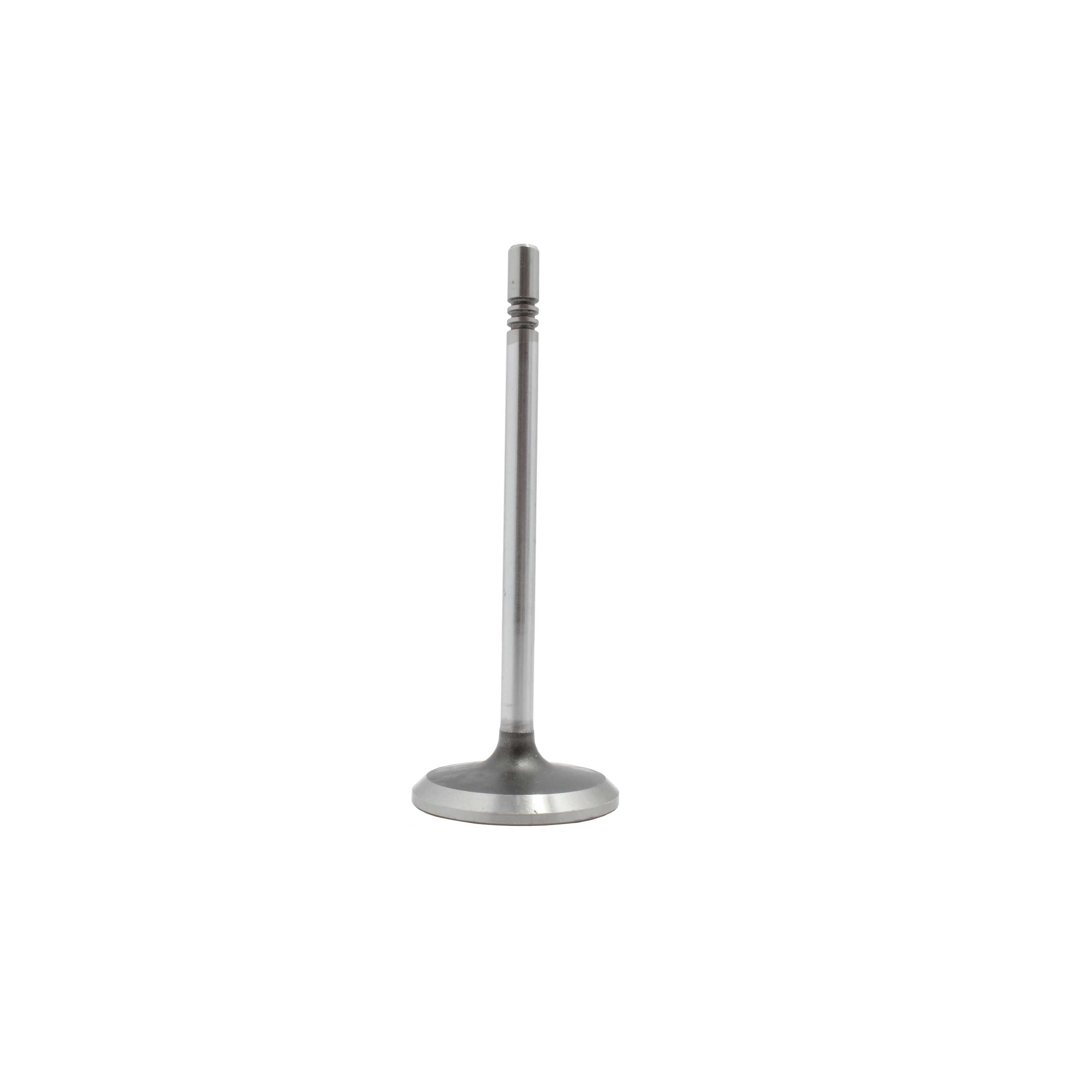 DNJ IV4149 Intake Valve fits 2000-2010 Ford F-150 00-19 Ford E-350 Super Duty