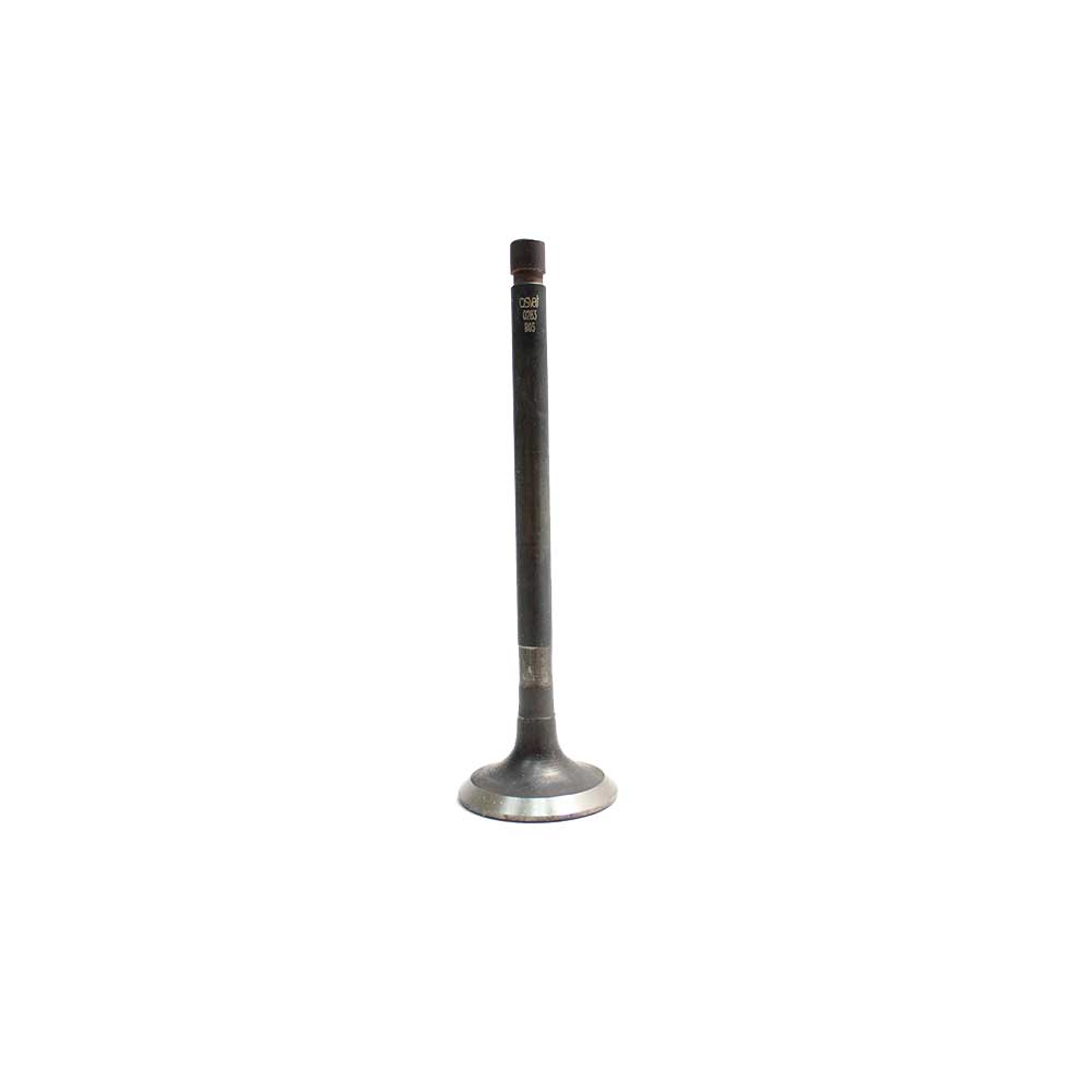 DNJ IV4299 Intake Valve fits 2011-2017 Ford F-150 11-17 Ford Mustang