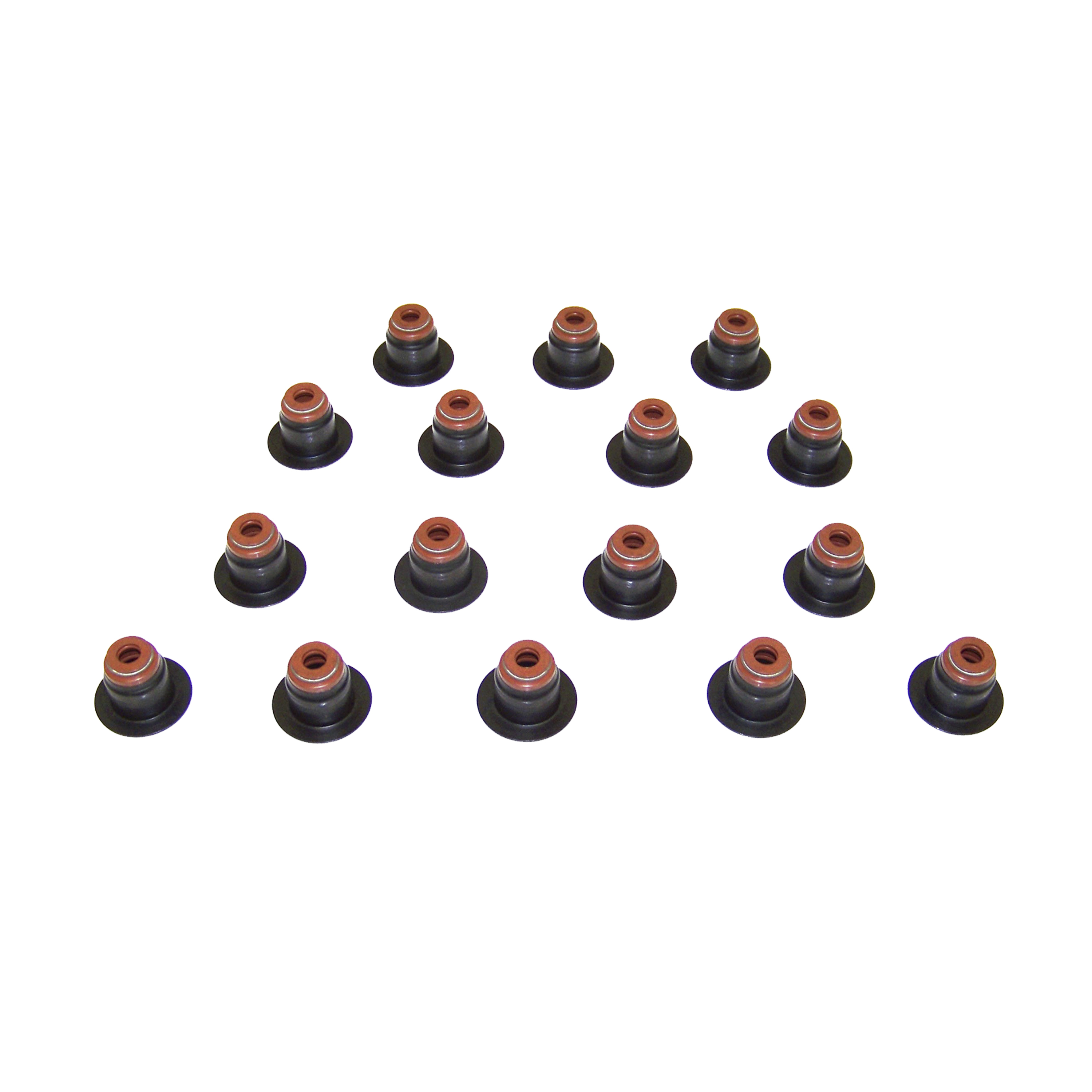 DNJ VSS4152 Valve Stem Oil Seal Set fits 1997-2010 Ford F-150 97-99 Ford F-250